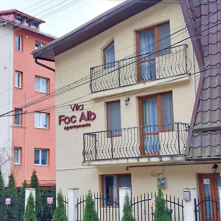 Vila Foc Alb Apartamente-Buşteni Exterior foto