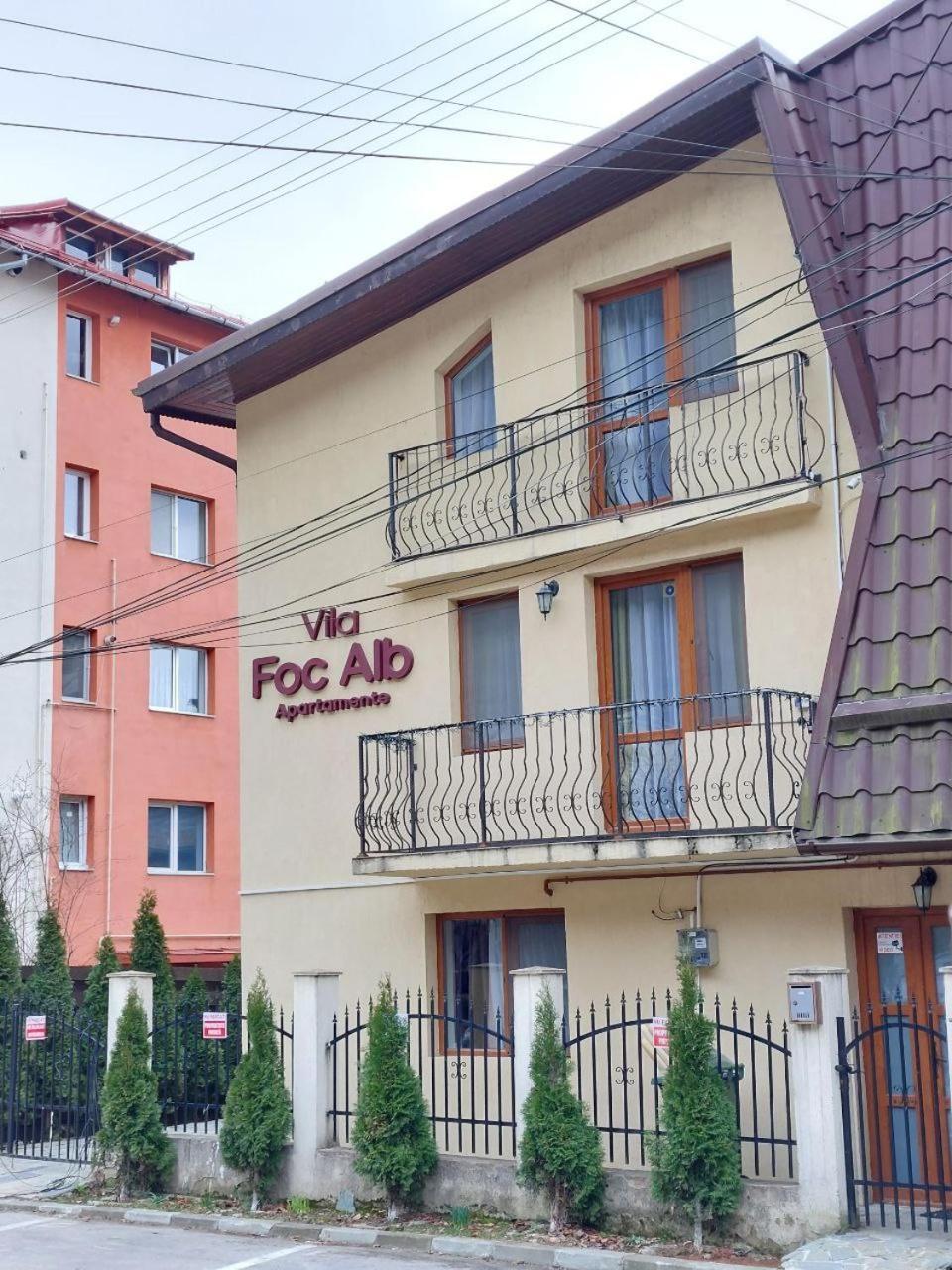 Vila Foc Alb Apartamente-Buşteni Exterior foto