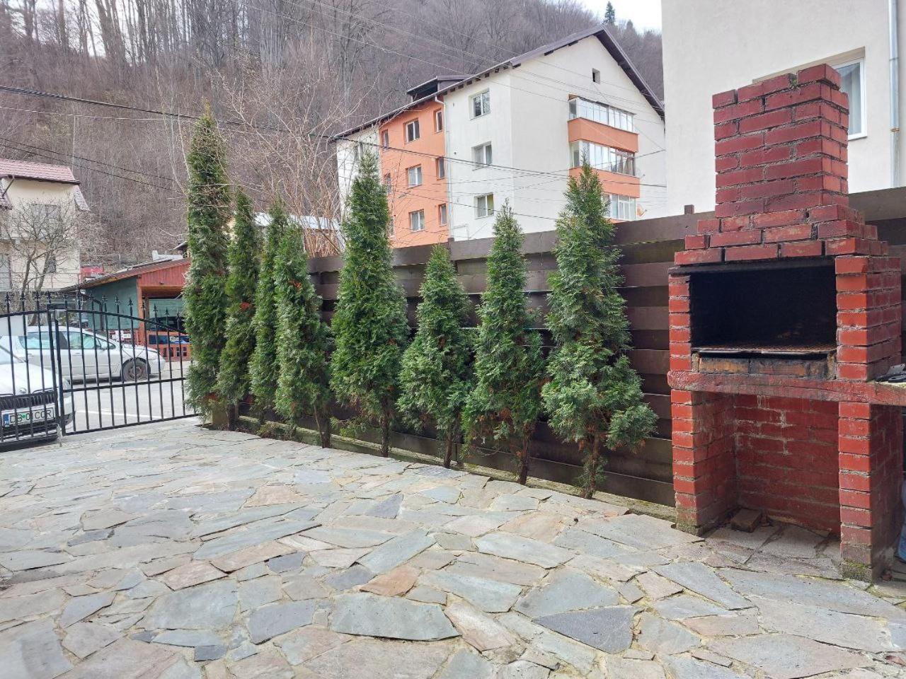 Vila Foc Alb Apartamente-Buşteni Exterior foto