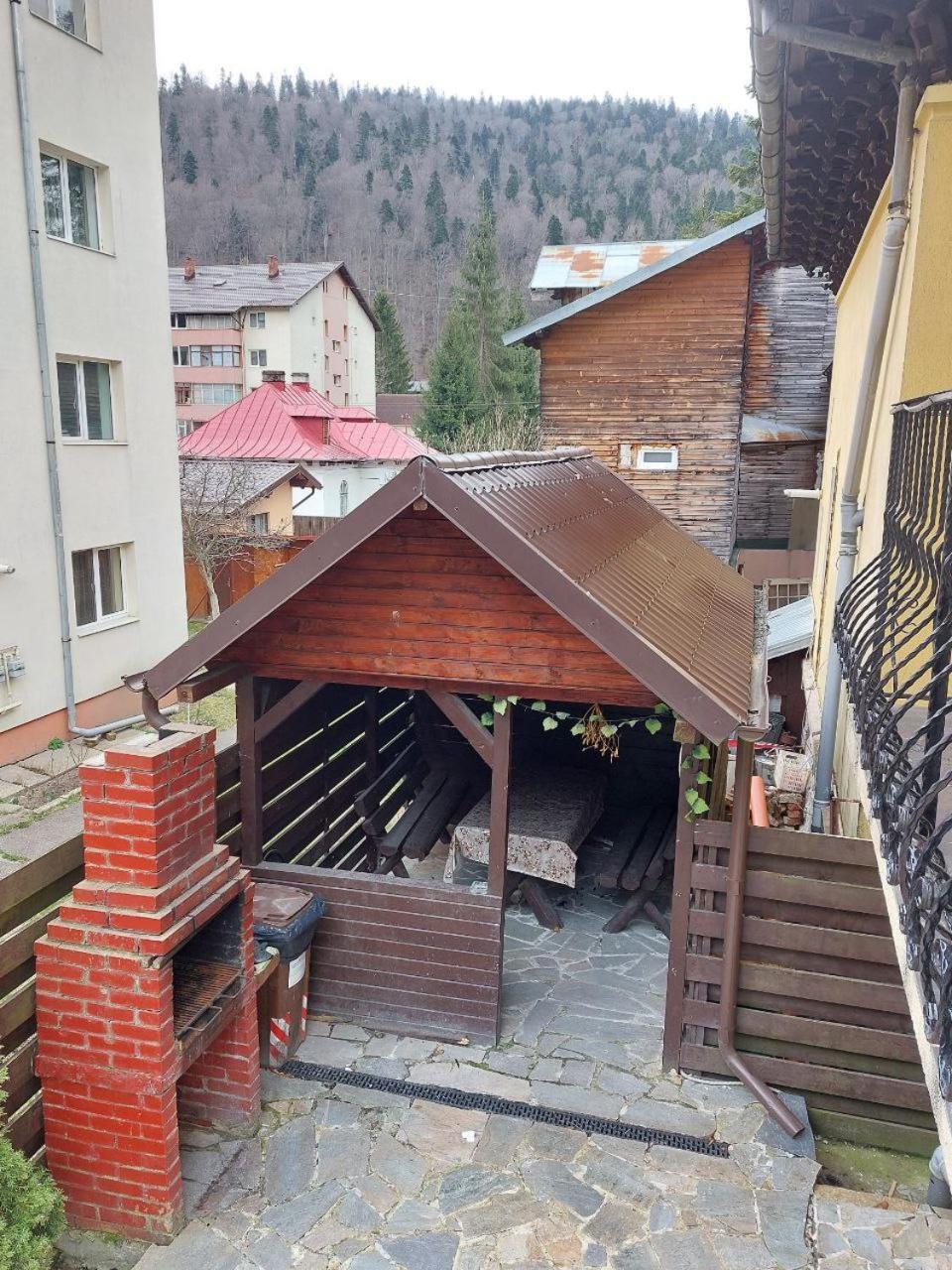 Vila Foc Alb Apartamente-Buşteni Exterior foto